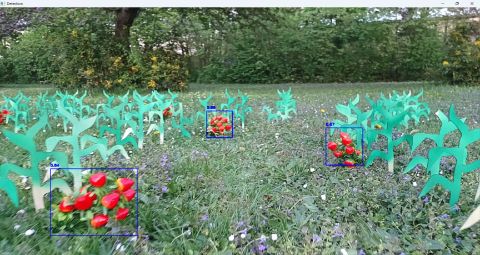 Detection via last.pt (best.pt did not work)