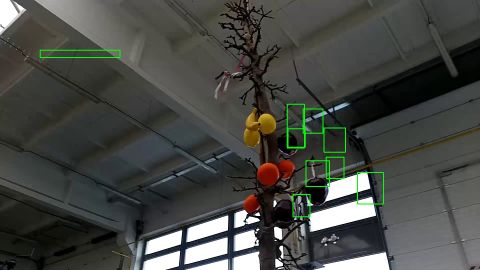 Shifted detections of fruit for task3
